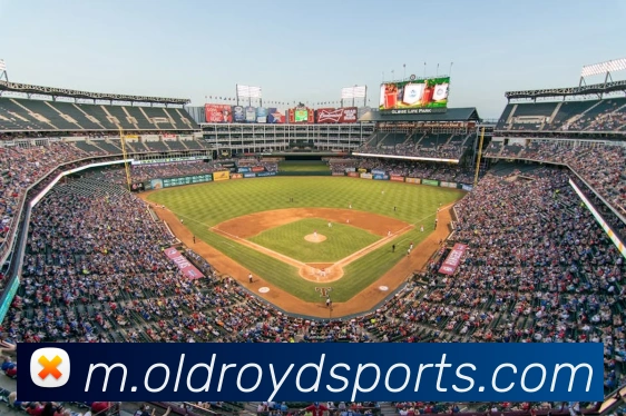 体育下注平台生态图