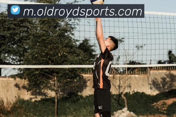 体育下注全站App